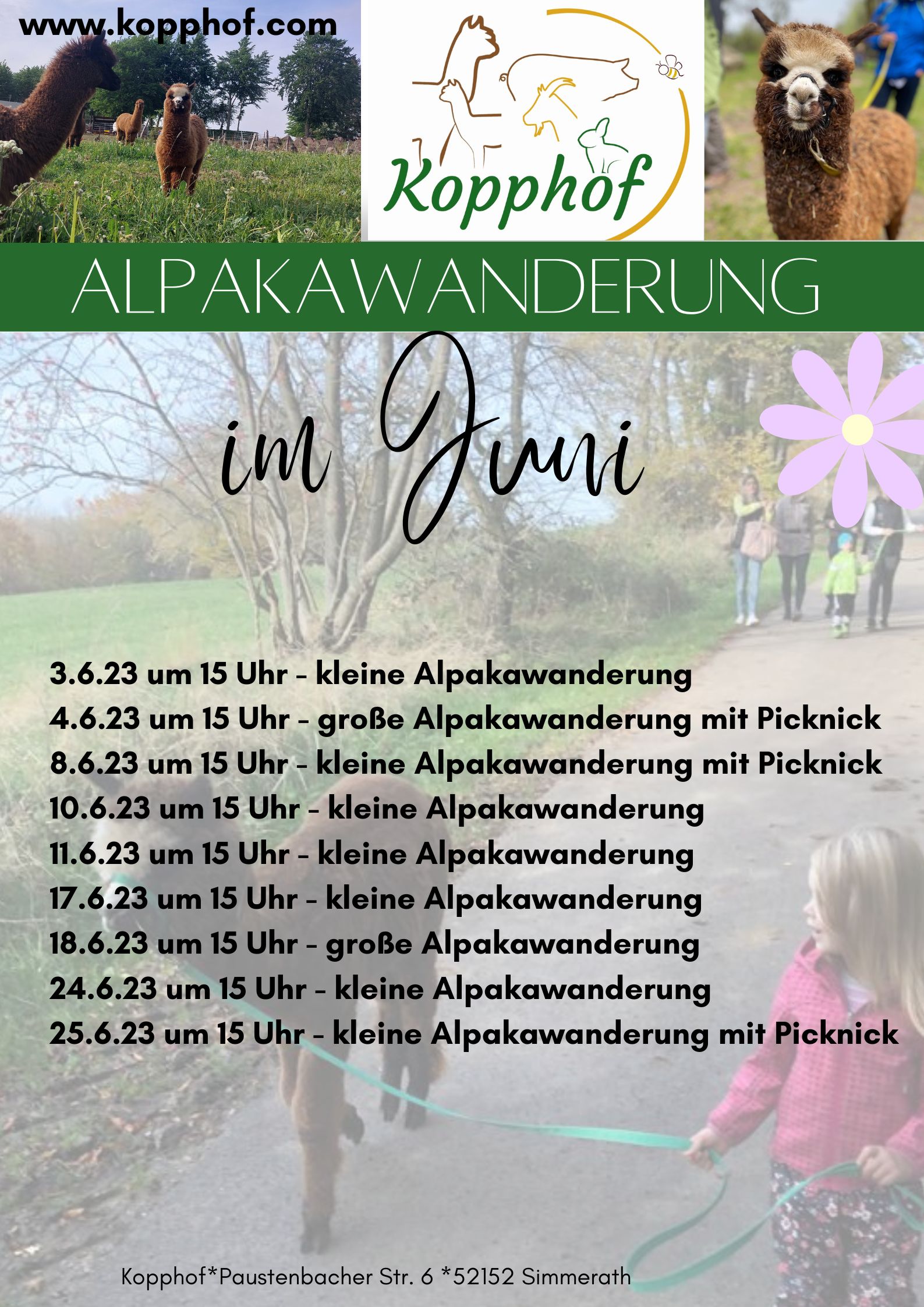 Übersicht Juniwanderung (Poster (Hochformat))