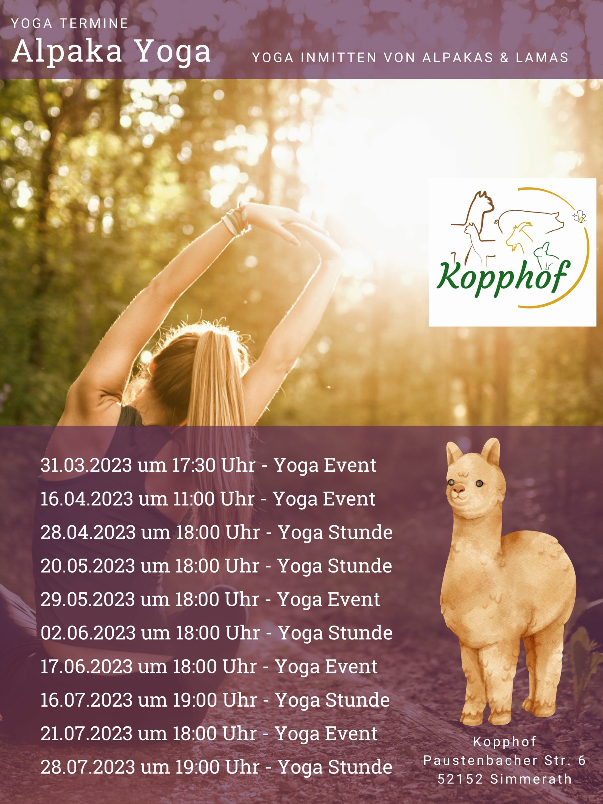 Yoga Termine Poster