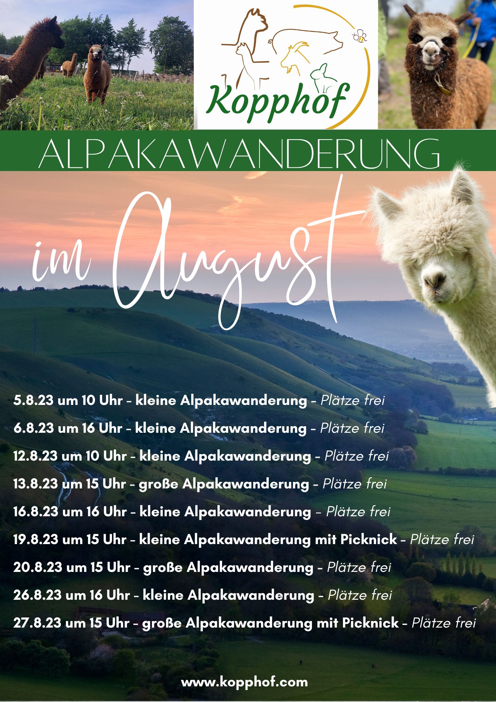 Übersicht Augustwanderung (Poster (Hochformat))