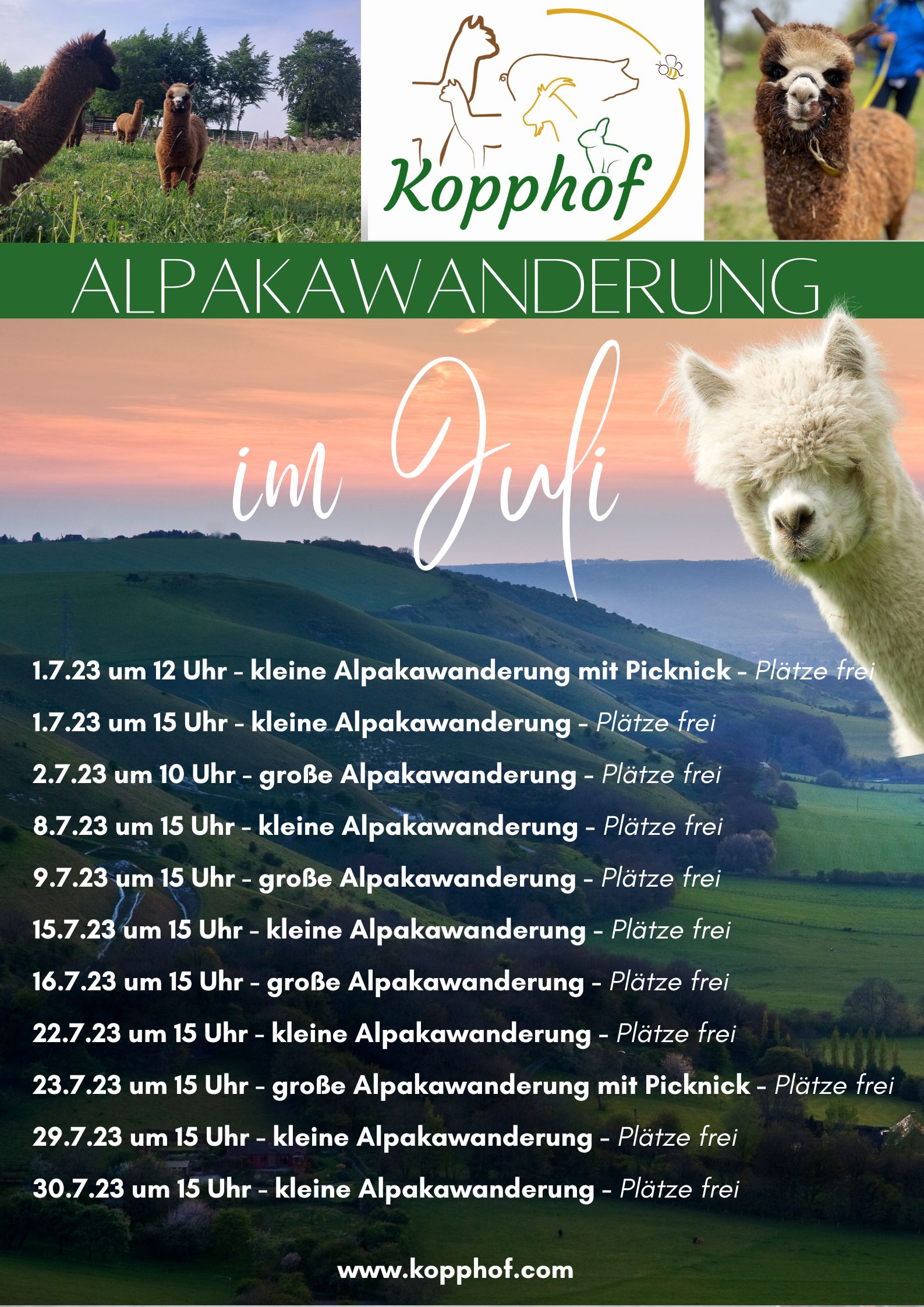Übersicht Juliwanderung (Poster (Hochformat))