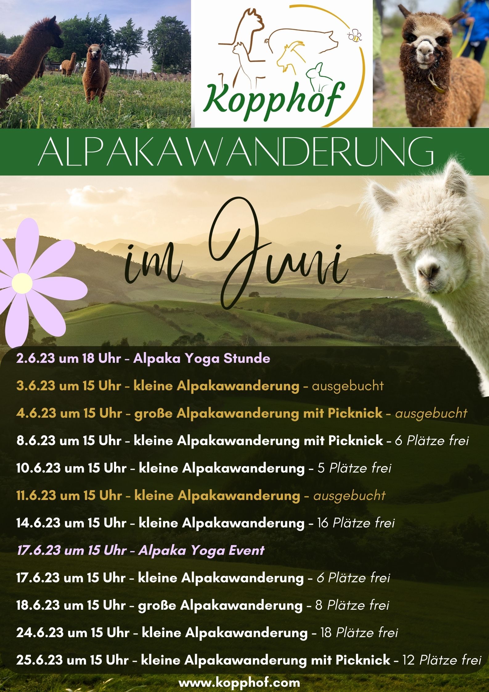 Übersicht Juniwanderung (Poster (Hochformat))