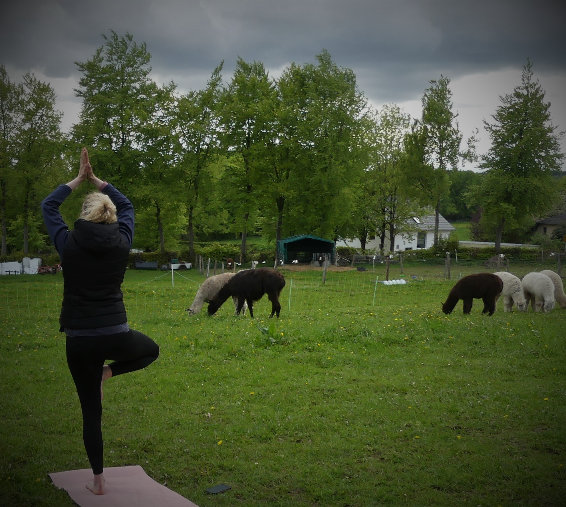 Yoga1